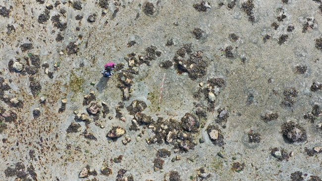 www.livescience.com