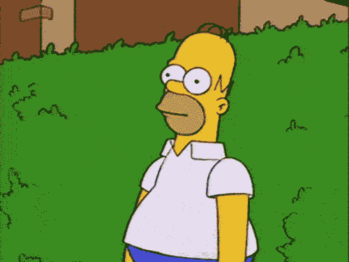 tumblr_mox6rdPhmx1rnihhao1_500.gif