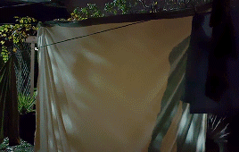 tumblr_oec08bxCzV1usws96o1_400.gif