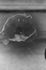 tumblr_m7c41iybK81r4ccyio4_r1_250.gif