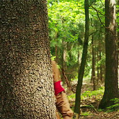 tumblr_pv66gigPGL1qmmugio1_250.gif