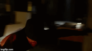 1x43wb.gif