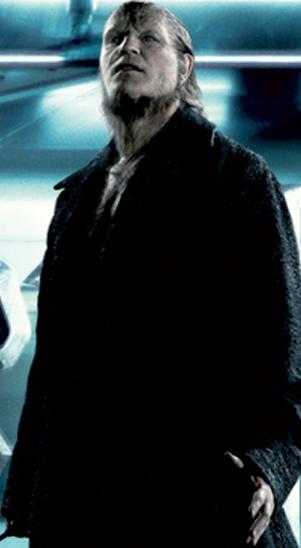 Fenrir_Greyback_-_HBP.jpg