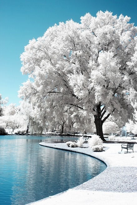 tumblr_l020b5CGeo1qawa3qo1_500.jpg