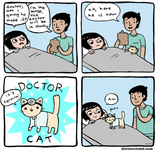 tumblr_lhlgrgevzY1qcexzdo1_r1_500.jpg
