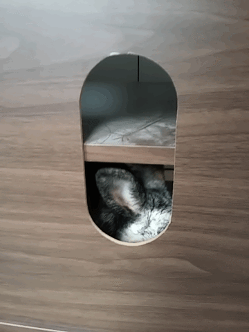 l2JhOVzlUFoSXM5Fe.gif