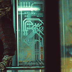 tumblr_ml7ckdJa0H1qb3ycmo2_250.gif