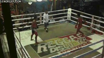 h35D456CA.gif