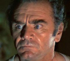 abb91557b3067719314bf2fddebc25f5--ernest-borgnine-poseidon.jpg
