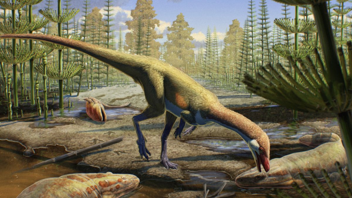 www.livescience.com
