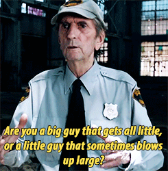 tumblr_nro36qFN4l1ub4dnvo1_r1_250.gif