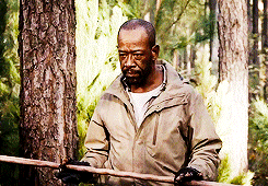 tumblr_nm1n9gfmgO1ru34cuo1_250.gif