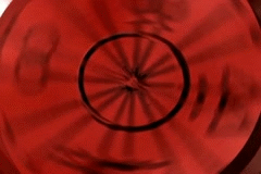 tumblr_nd2prrH8Qk1s0s7b6o8_r1_250.gifv