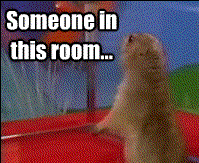564c18b8bb9be5d8ace99c0a5d6192ef.gif