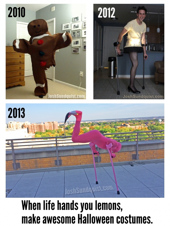 small_flamingo%20costume.jpg