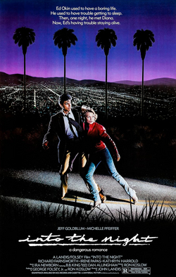 Into-the-night-poster.jpg