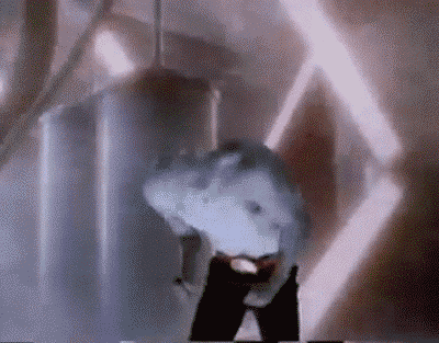 tumblr_mn5mmexbqt1qbv408o1_r3_400.gif