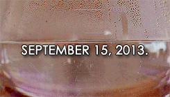 tumblr_nbykcdiPH91rrutvoo6_250.gif