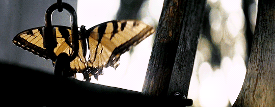 207499.gif