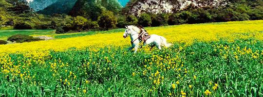 tumblr_opbkhnuMYT1rq9ihbo1_540.gif