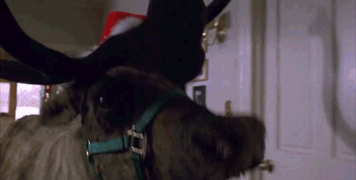 tumblr_ng732nnFPG1tuk7ruo2_400.gif