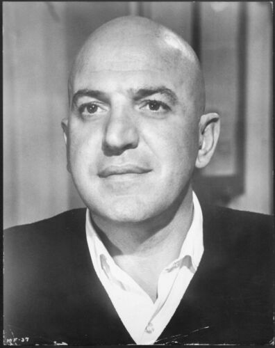 s-l500.jpg