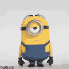 haha-yay.gif