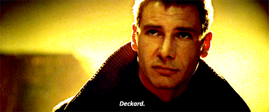 tumblr_oxf5n2Xdm61rrkahjo5_540.gif