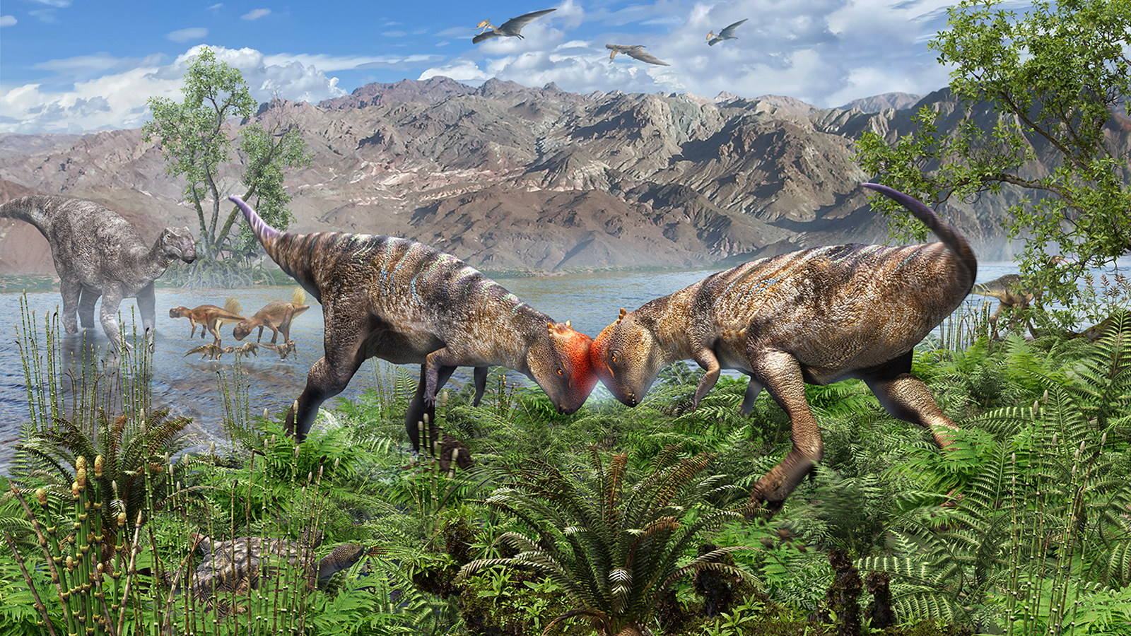 www.livescience.com