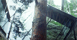 tumblr_nol7irZlN41tk2heto7_400.gif