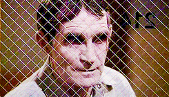 tumblr_ncuotonYQO1r5dpsxo3_250.gif