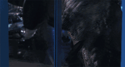 tumblr_n9jm1pWx6U1rh9lxho6_400.gif