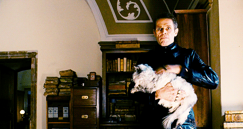 tumblr_n72knohdKW1rom32lo1_500.gif