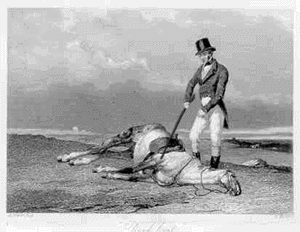 Fed-dead-horse.gif