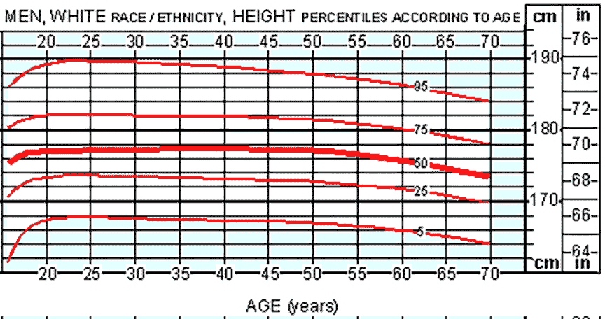 MenHeightWhite2.gif