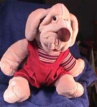 wrinkles.jpg
