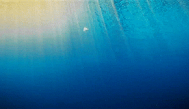 tumblr_nradpooXWJ1tc05ego9_400.gif