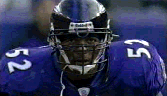 9505ad4f8994d948016025ce1320046f.gif