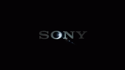 sony-sony-sony.gif