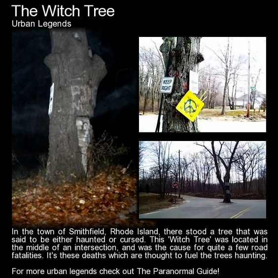 tumblr_o2pw7hPNDz1s1vn29o1_1280.jpg