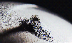 tumblr_mp5tykWk1d1swjg2mo1_250.gif