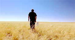 tumblr_n7khs8ibih1qglx18o5_250.gif