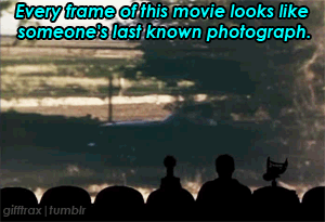 tumblr_n9nlwhxGXz1sjxvs8o8_400.gif