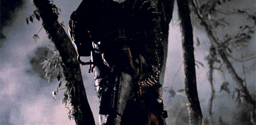 tumblr_nl6h9hHBFL1u1vwpho1_500.gif