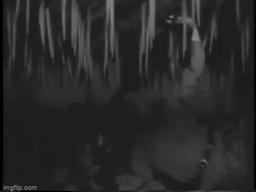 b94c8630df58d15cf640f750f54346d8.gif