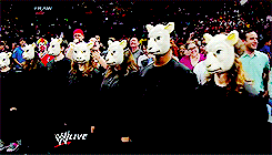 tumblr_n4rtq0skg41tte4u2o4_250.gif