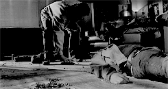 tumblr_n6jyxuQiQH1qglx18o1_250.gif