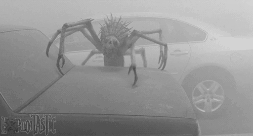 Oh+you+want+gifs+source+is+the+mist_6b1d71_5125096.gif