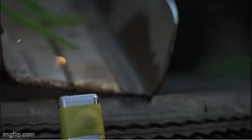 9q1p16.gif