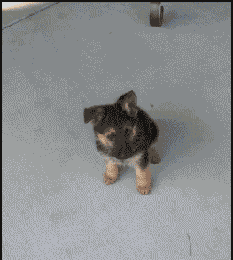 Xf_s2gM80E-W2DjeMQLV0A2.gif